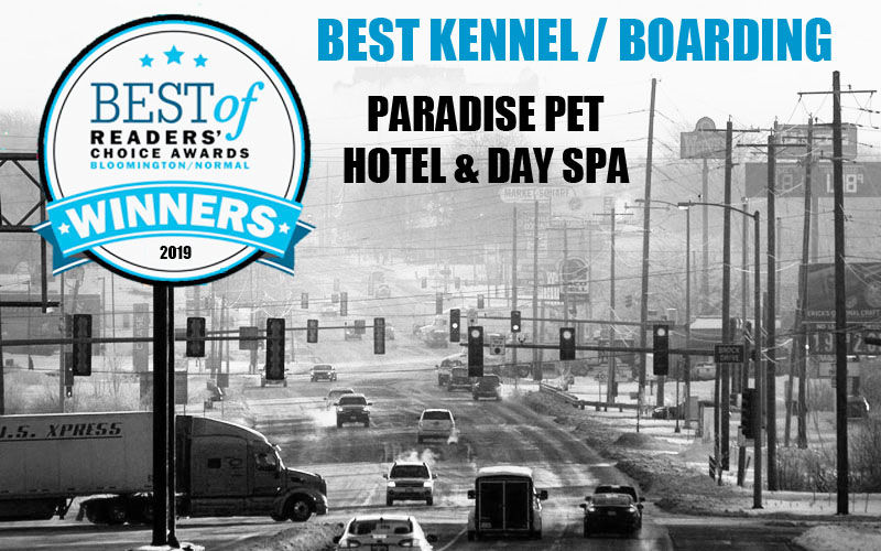 Best Kennel / Boarding